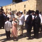 صور: متطرفون يقتحمون الاقصى وسط حراسة مشددة