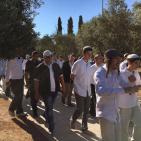 صور: متطرفون يقتحمون الاقصى وسط حراسة مشددة