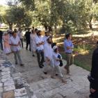 صور: متطرفون يقتحمون الاقصى وسط حراسة مشددة