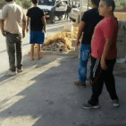 القدس: الاحتلال يعتدي على مواطن بعد اصطدام مركبته بجيب عسكري