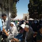 صور: أكثر من 280 ألفاً أدوا الجمعة الأخيرة برحاب الأقصى