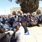 صور: أكثر من 280 ألفاً أدوا الجمعة الأخيرة برحاب الأقصى