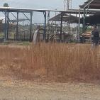 إصابة أردني برصاص إسرائيلي بعد أن تسلل عبر الحدود