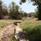 عــمـــواس