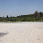 عــمـــواس