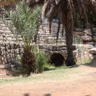 عــمـــواس