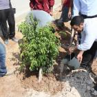 فعاليات اليوم الثاني من مهرجان فرخة الدولي للشباب