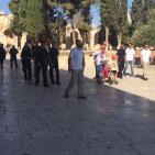 في الذكرى الـ47 لإحراقه... مستوطنين يجددون اقتحامهم للأقصى