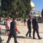 في الذكرى الـ47 لإحراقه... مستوطنين يجددون اقتحامهم للأقصى