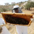 نحّالات كفر مالك