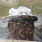 نحّالات كفر مالك