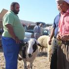 سوق الحلال في الخليل..حركة نشطة قبيل العيد