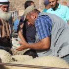 سوق الحلال في الخليل..حركة نشطة قبيل العيد