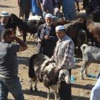 سوق الحلال في الخليل..حركة نشطة قبيل العيد