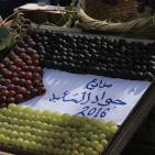 افتتاح مهرجان العنب في الخليل