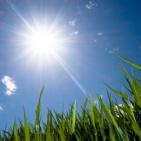 بالصور... يوم طبي مجاني في الخليل