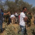 بالصور: وفاة مواطن في حادث سير قرب نابلس