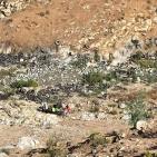 صور.. حادث مروع يودي بحياة شابين شرق نابلس