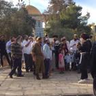 أكثر من 100 مستوطن يقتحمون الاقصى