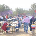 للعام 11 على التوالي...كنعان تختتم مهرجان حصاد الزيتون