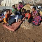 الاحتلال يصادر 6 بركسات سكنية للبدو قرب بلدة جبع شمال القدس