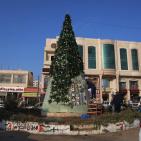 شجرة الميلاد بالعيزرية.. بصور الشهداء