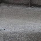 تساقط البرد في الخليل