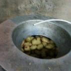 ضبط طن من البطاطا الفاسدة بالخليل