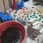 بالصور.. ضبط مصنع معسل ومنشطات جنسية داخل منزل