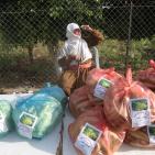 افتتاح  مهرجان الفقوس في بلدة دير بلوط