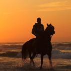 الغزيون يتجهون لشاطئ البحر رغم الأجواء الباردة