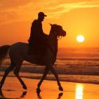 الغزيون يتجهون لشاطئ البحر رغم الأجواء الباردة