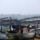 غزة: زيارة شتوية لميناء يتحدى الموج وأكثر