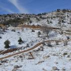 جبل الشيخ