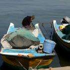 شاركونا بجولة في ميناء غزة