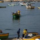 شاركونا بجولة في ميناء غزة