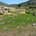 وادي قانا..جمال ملوث