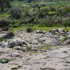 وادي قانا..جمال ملوث