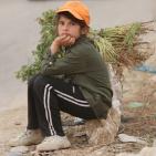 مهرجان الفقوس دير بلوط