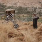 مهرجان الفقوس دير بلوط