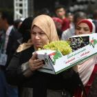 مهرجان العنب في حلحول