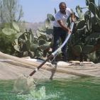 تربية الأسماك في نابلس