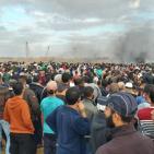 4 شهداء وعشرات الاصابات على حدود غزة