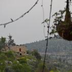 لقطات من قرية بتير قضاء بيت لحم