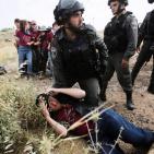 الاحتلال يعتقل متضامنين أجانب بالخليل بعد الاعتداء عليهم