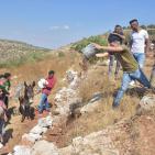 استمرار فعاليات مهرجان فرخة الدولي لليوم الثالث 