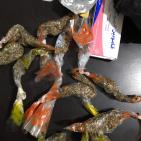 الشرطة تقبض على متسولة تروج المخدرات في ضواحي القدس