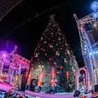 حفل  اضاءة شجرة الميلاد في بيت لحم