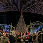 حفل  اضاءة شجرة الميلاد في بيت لحم