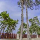 بنك فلسطين و